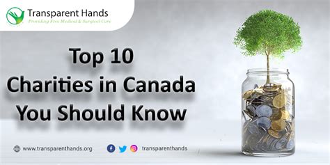 top canadian charities|The best charities to donate to for impact in Canada for 2023.